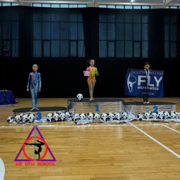 "Air gym school" г.Балашиха выступила на соревнованиях по воздушной гимнастике &laquo;FLY IN THE SKY &raquo; 2